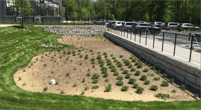 bioretention basin design