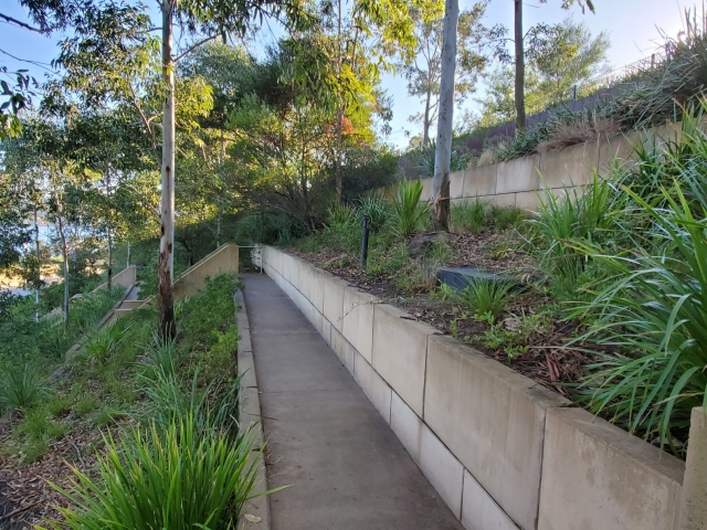 MagnumStone plantable wall in Sydney, AU.