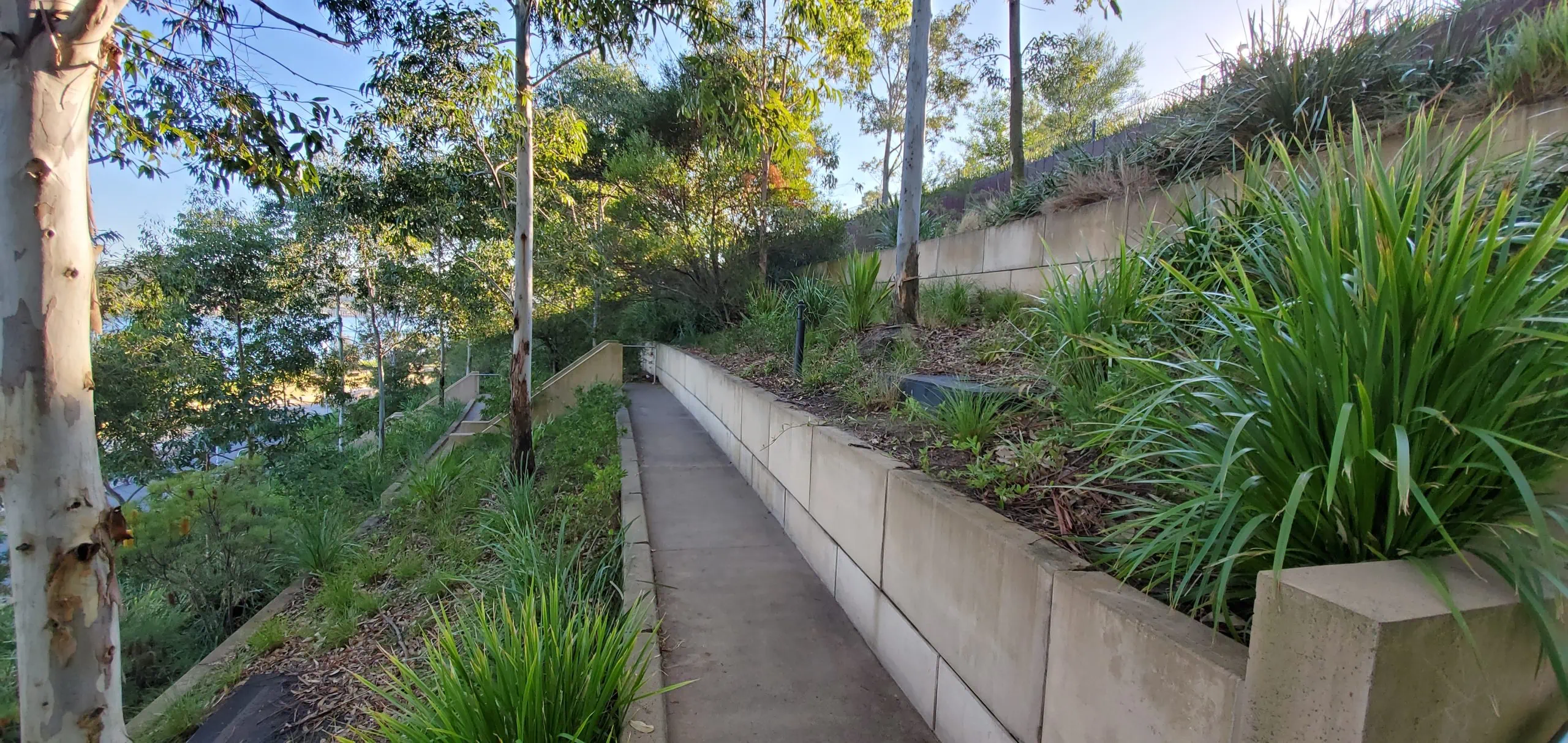 MagnumStone plantable wall in Sydney, AU.