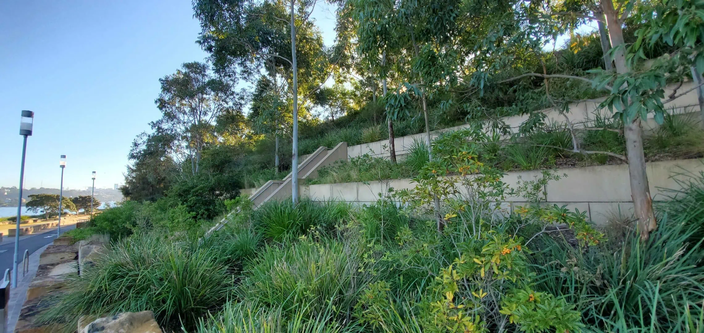 Large MagnumStone retaining wall terraces walking path Sydney, AU.